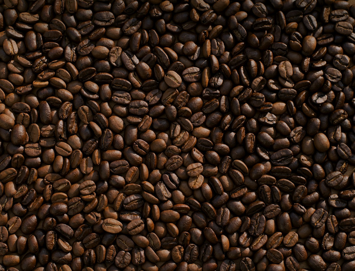 Green coffee bean samples from a fresh seasonal crop arrival