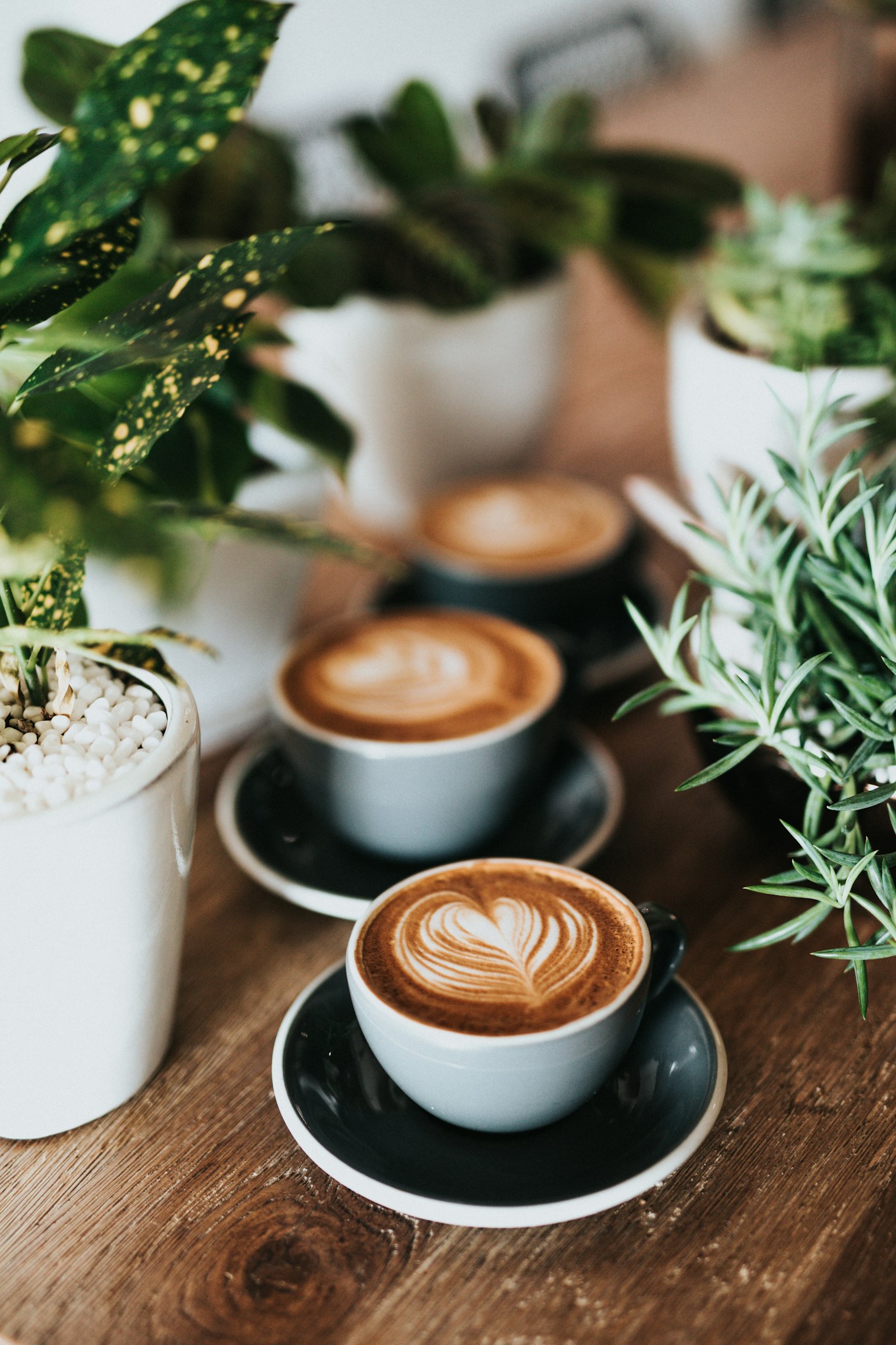 Artisan espresso drink prepared from a matched single origin